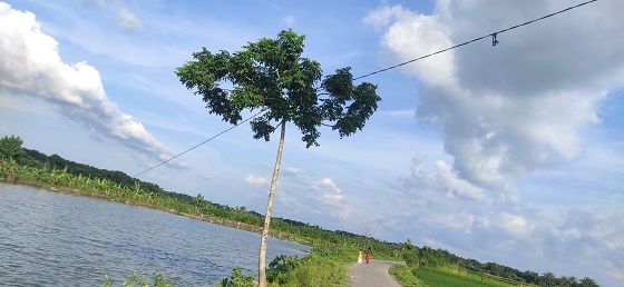 image-here